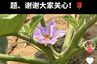 萨拉赫本场比赛数据：1关键传球1错失重要机会，评分6.7